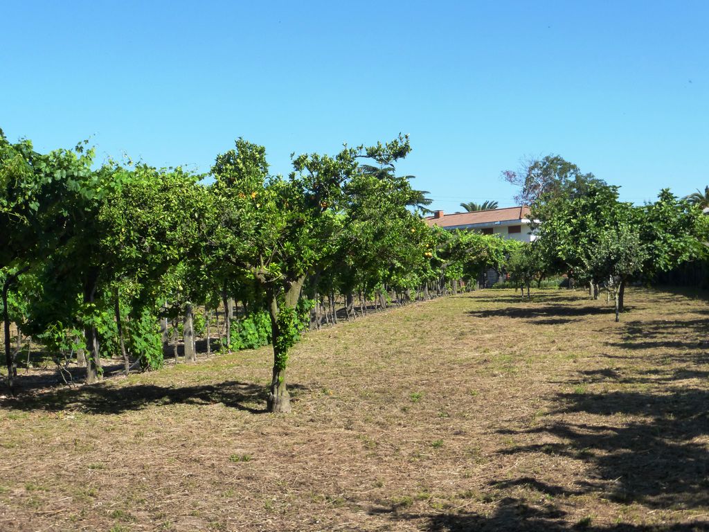 Farm